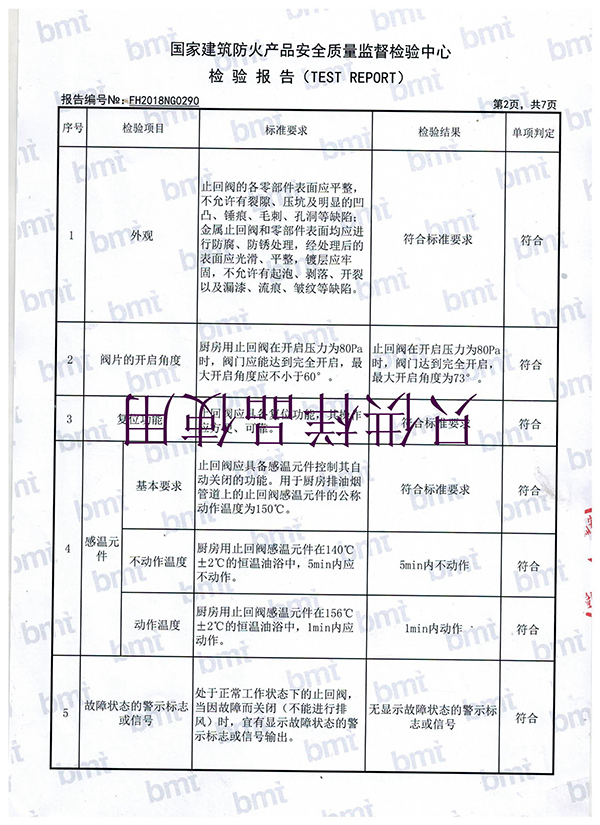 国产精品久久麻豆视频 (3)